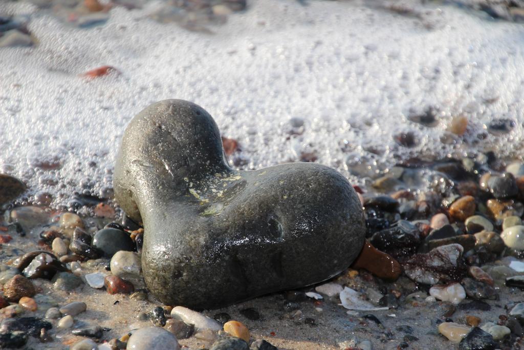 Meine Fischerhuette Börgerende-Rethwisch Zewnętrze zdjęcie